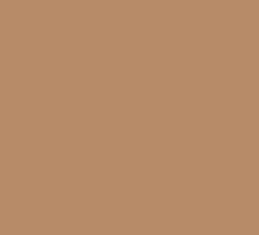 Cream-to-Powder Foundation Compact SPF15 - Image 22