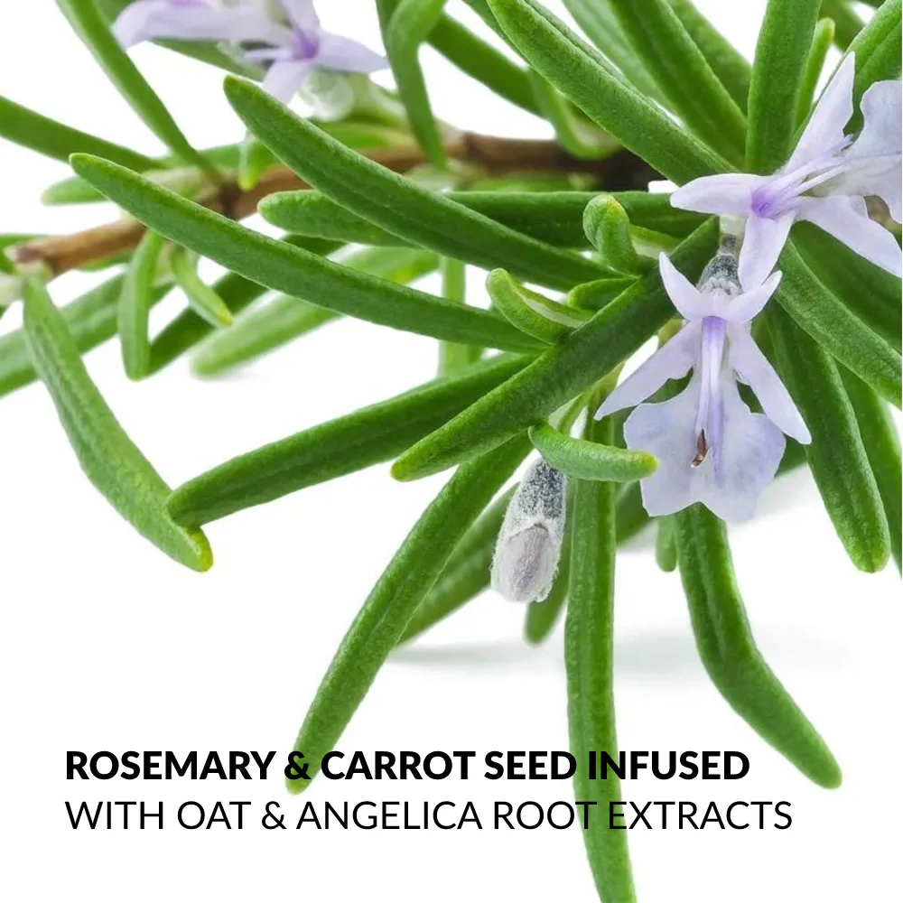 Senses Essence Rosemary & Carrot Seed Gift Set - Image 3