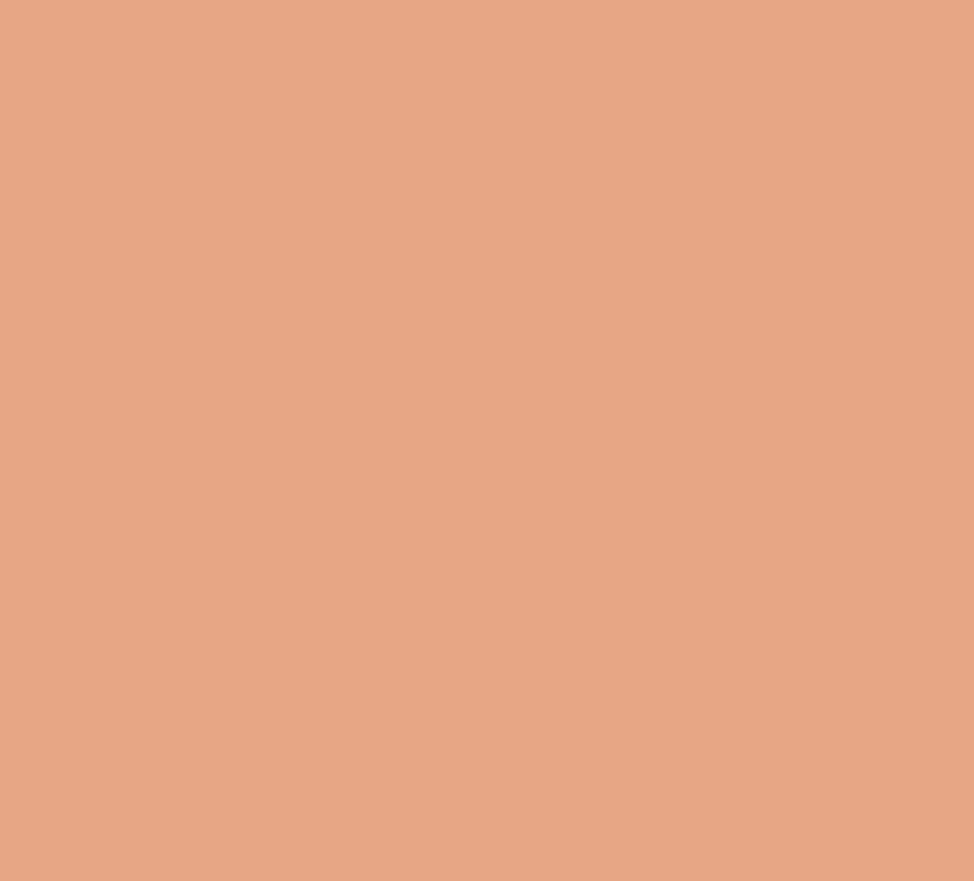 3-In-1 Serum Foundation - Image 11